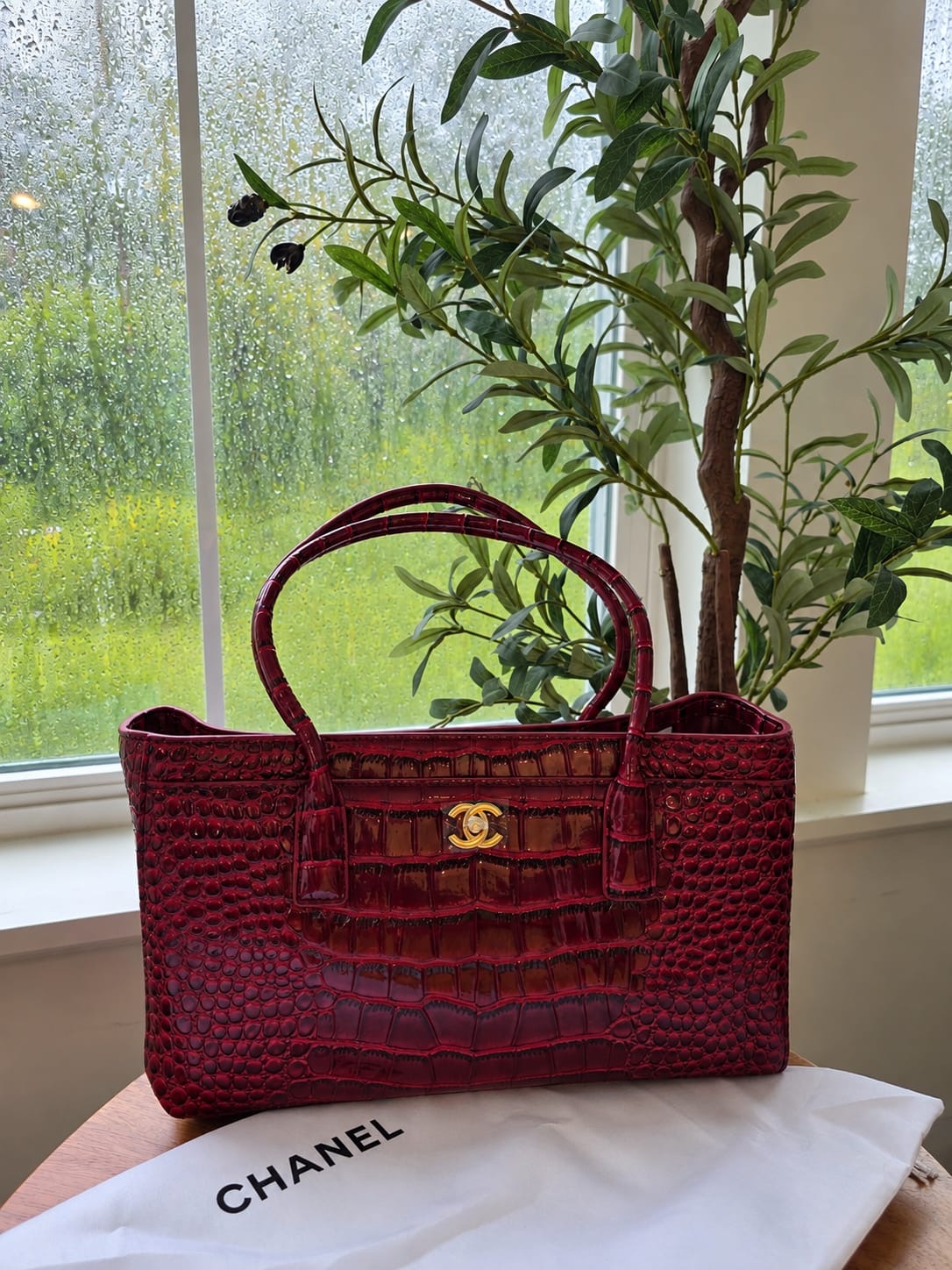 Bolsa Chanel cocodrilo nueva temporada 2026 con caja y cubre polvo