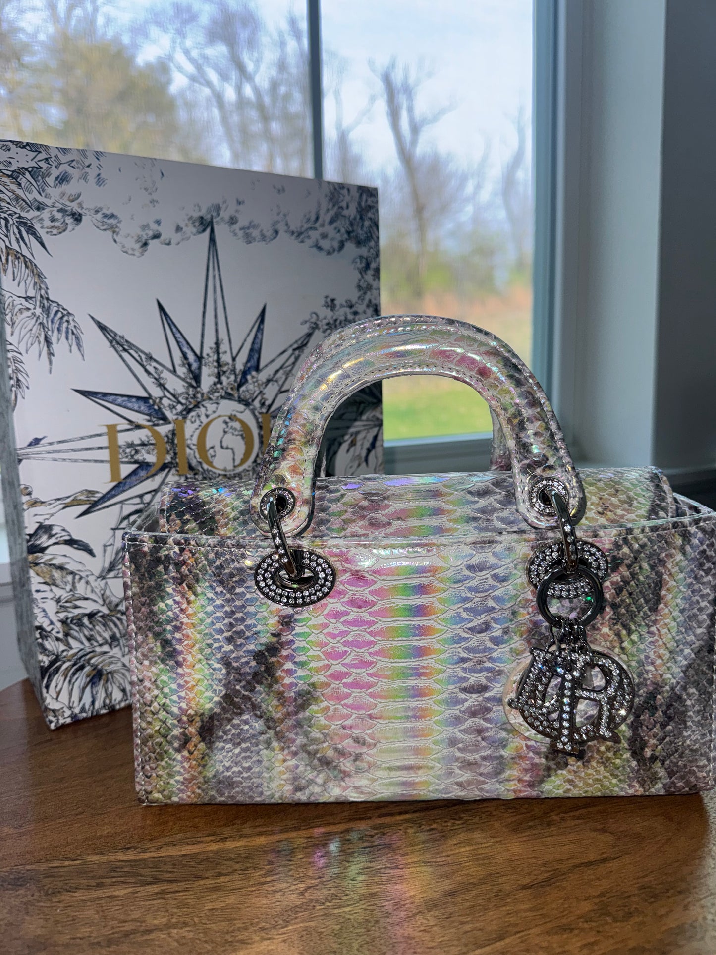 Bolsa Dior tornasol con accesorios top quality