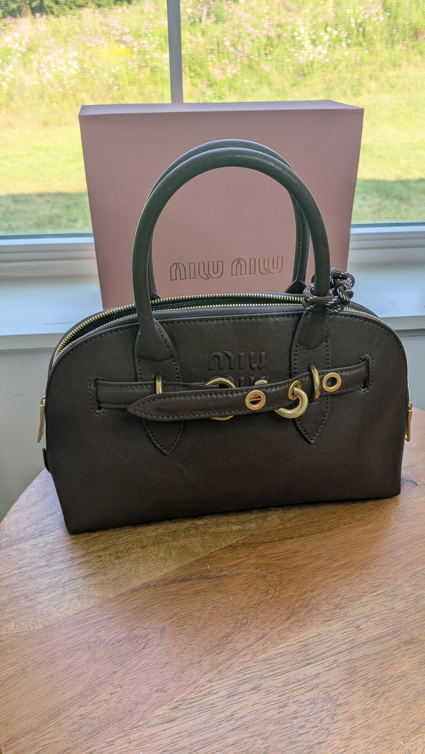 Bolsa seminueva MiuMiu