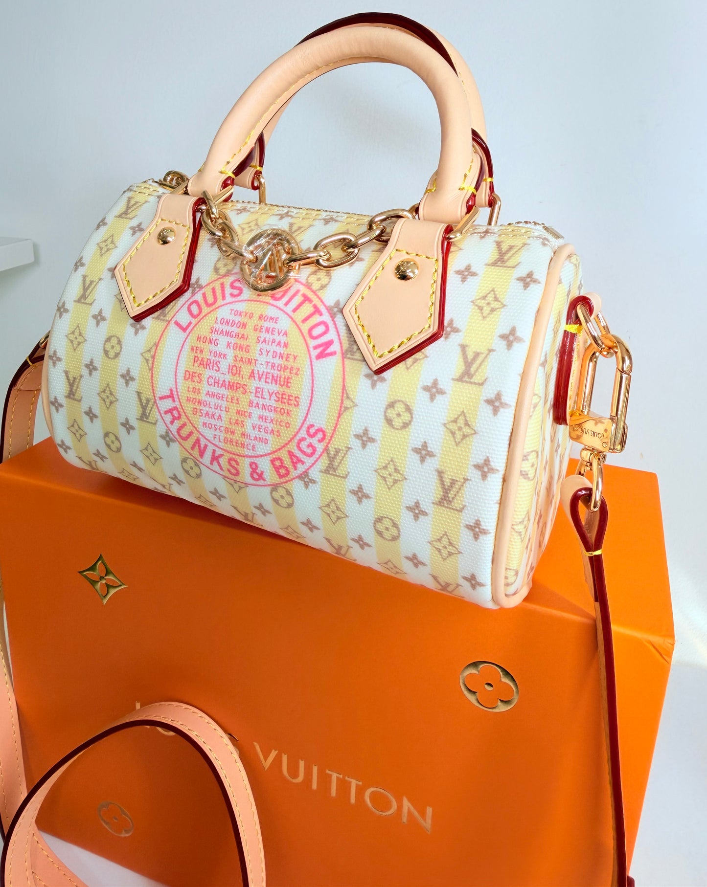 Bolsa Louis Vuitton nueva temporada