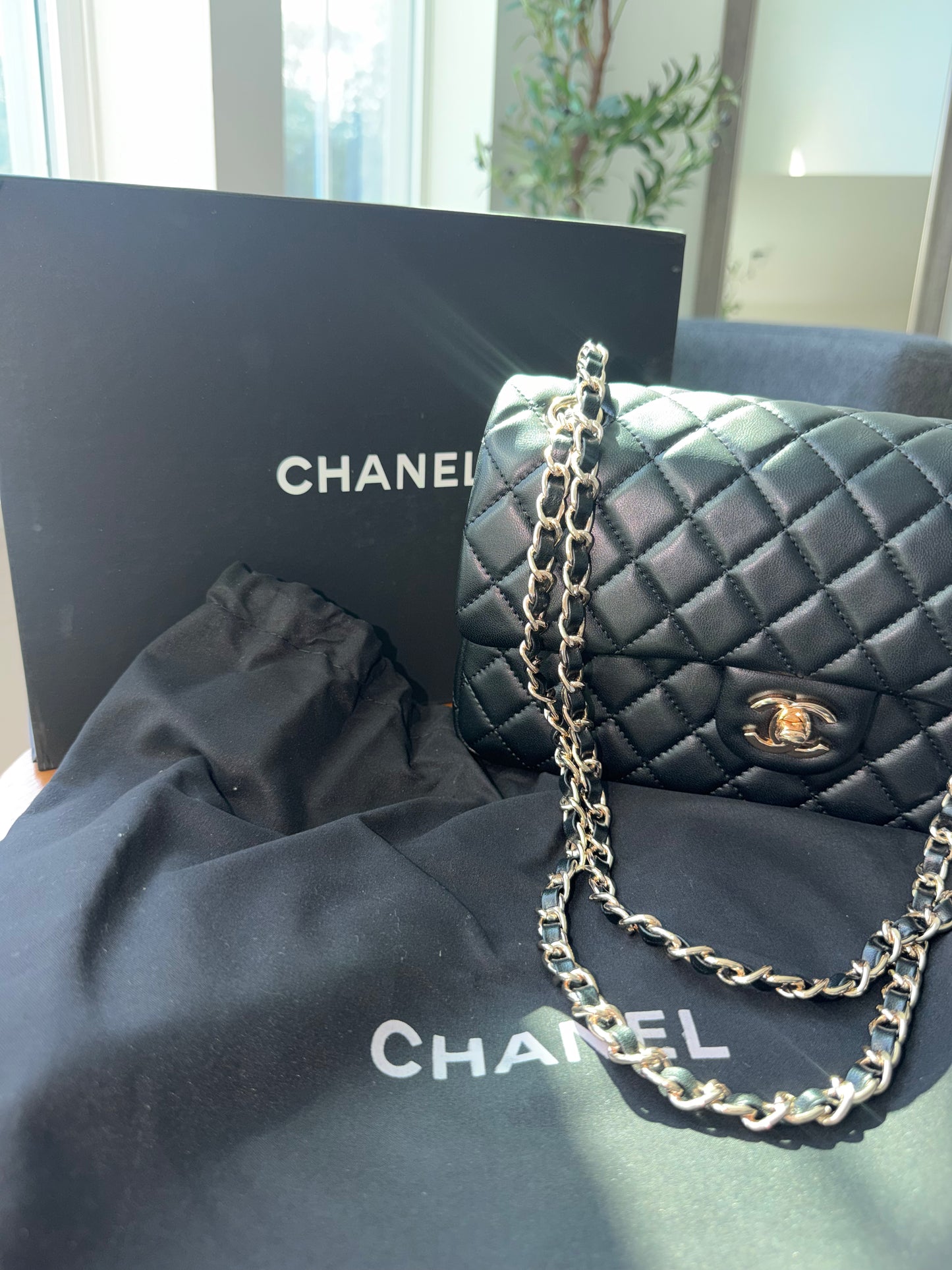 Bolsa Chanel top quality identica con caja y cubre polvo